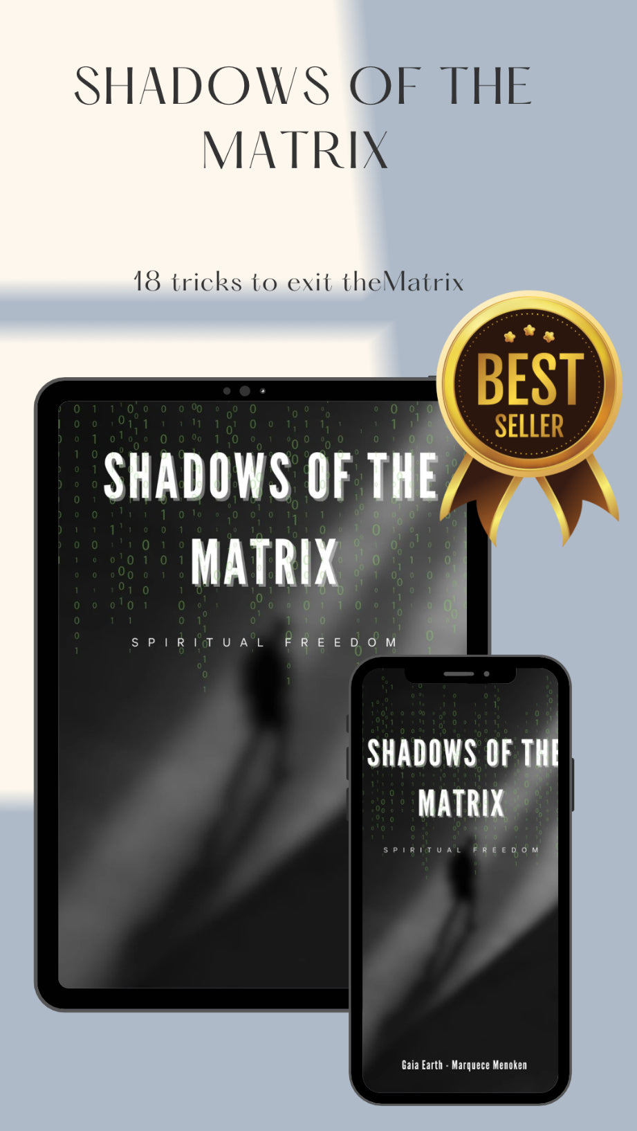 Shadows of the matrix Ebook