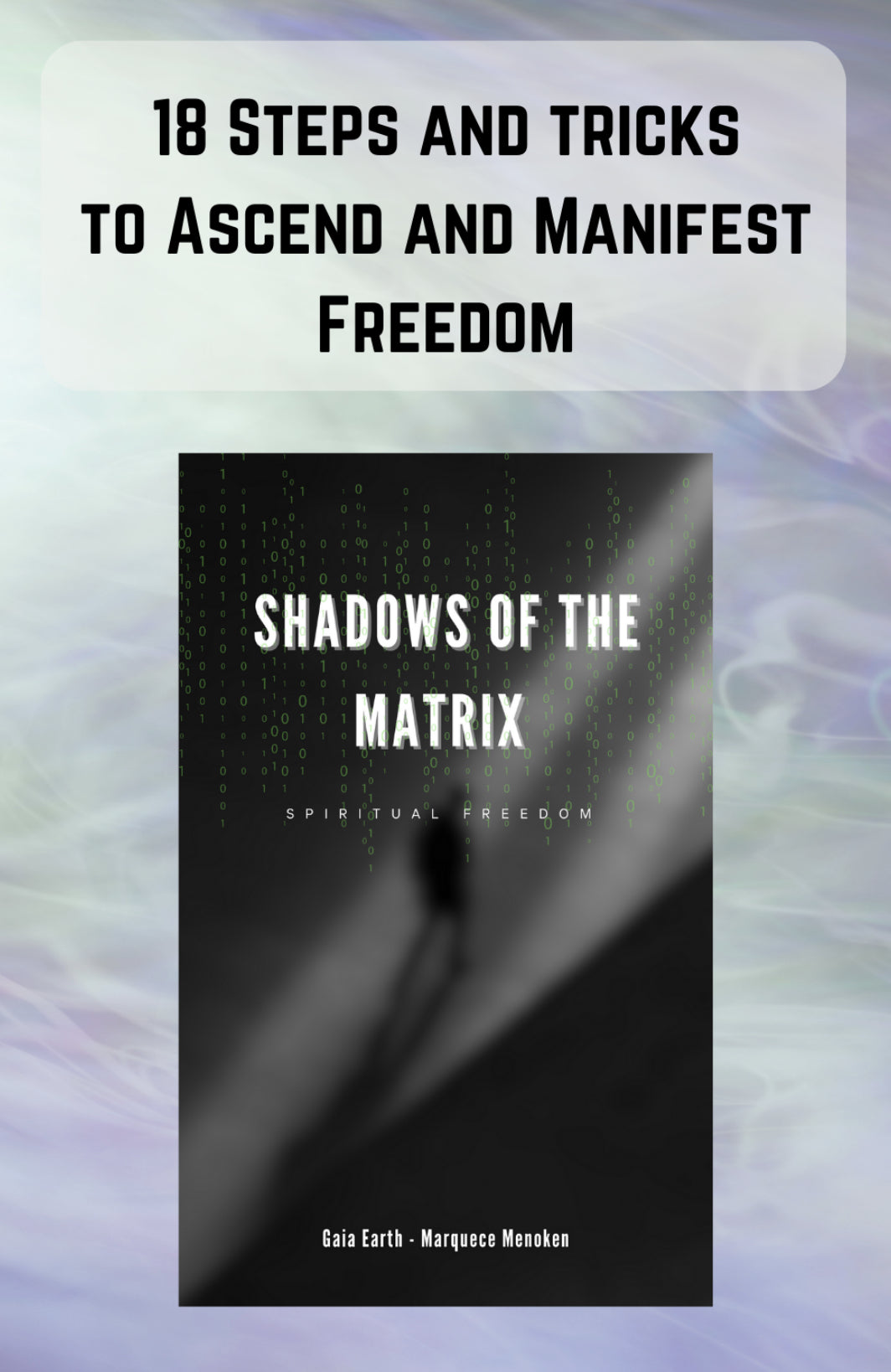 Shadows of the matrix Ebook