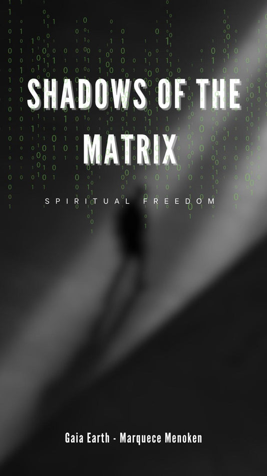 Shadows of the matrix Ebook