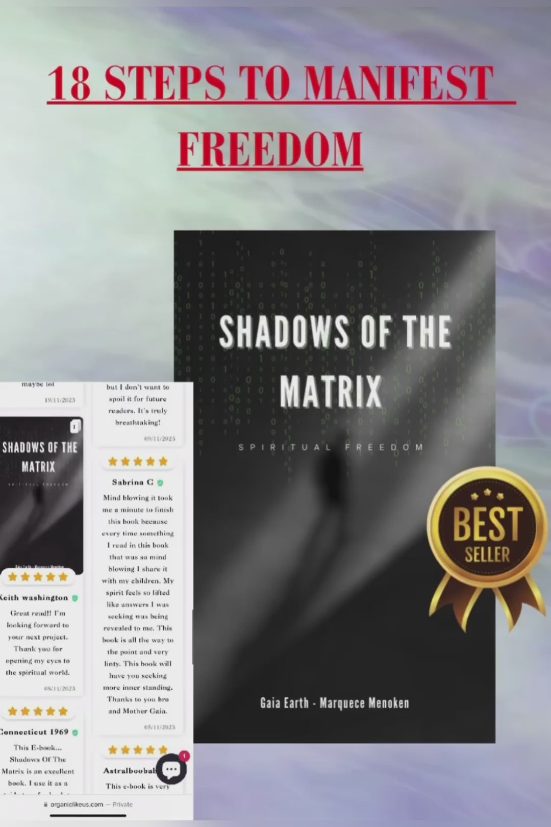 Shadows Of The Matrix Part 2 – Organiclikeus